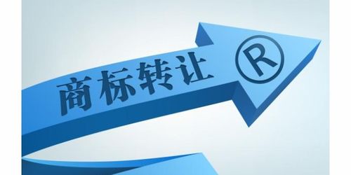 商務(wù)服務(wù)企業(yè)商情 商務(wù)代理與代辦服務(wù)的市場(chǎng)機(jī)遇與發(fā)展策略